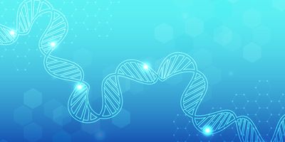 A single error in the genetic code of the ACTA2 gene, which encodes the smooth muscle actin protein, is the most common cause of MSMDS. 