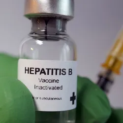 In the US, 1 in 4 children chronically infected with hepatitis B will die prematurely from cirrhosis or liver cancer.