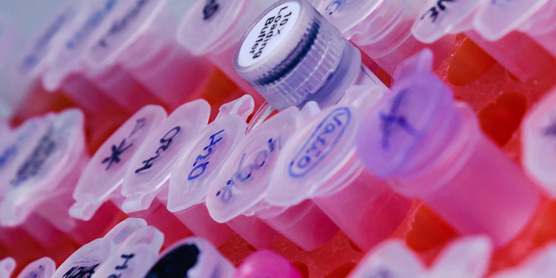 nccn-launches-new-breast-cancer-genetic-testing-and-treatment-tool The interactive format makes recommendations easier to navigate and search and links directly to other NCCN digital resources.