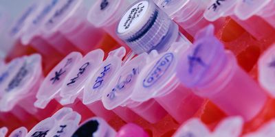 The interactive format makes recommendations easier to navigate and search and links directly to other NCCN digital resources.