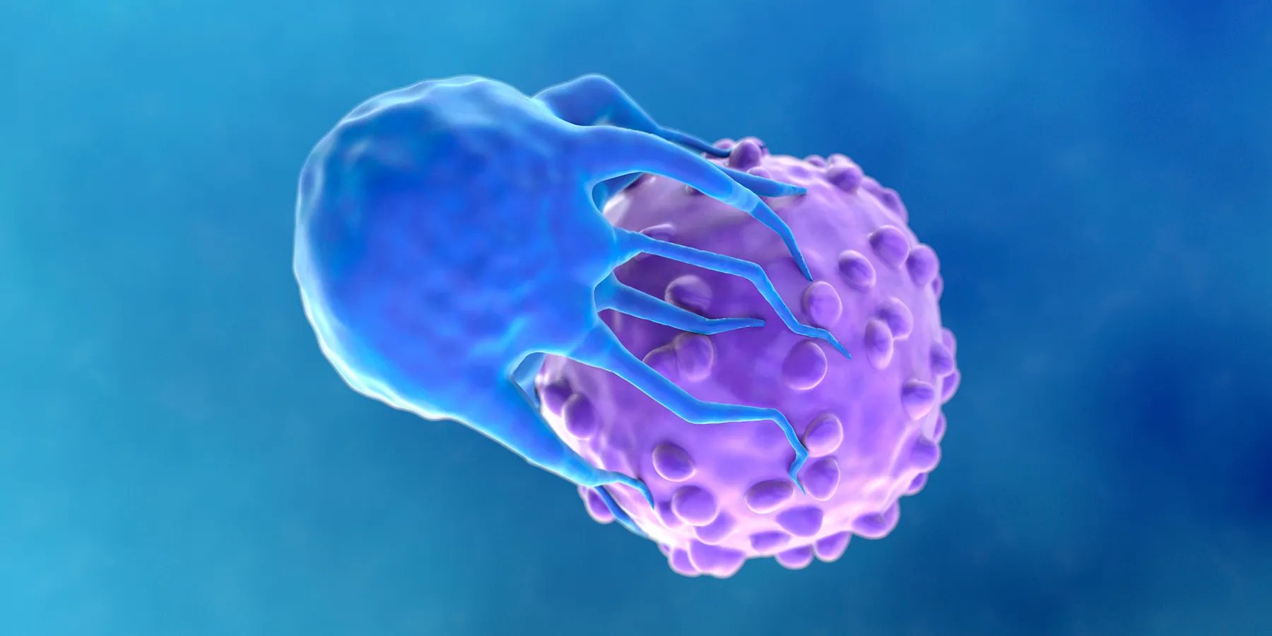 A growing number of T cell therapies, including CAR-T interventions are personalized treatments that genetically modify a patient's T cells to target and destroy cancer cells. 