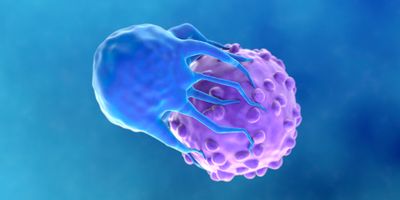 A growing number of T cell therapies, including CAR-T interventions are personalized treatments that genetically modify a patient's T cells to target and destroy cancer cells. 