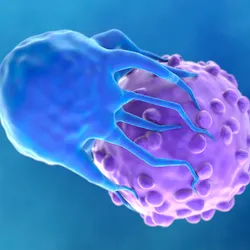 A growing number of T cell therapies, including CAR-T interventions are personalized treatments that genetically modify a patient's T cells to target and destroy cancer cells.