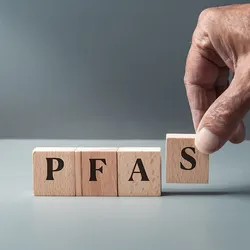 The work adds to the body of evidence that short-chain PFAS can accumulate in the human body.