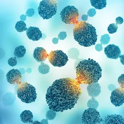 The report examines key indicators across states, including new case rates, survival, early diagnosis, surgical treatment, screening participation, and insurance coverage for comprehensive biomarker testing.