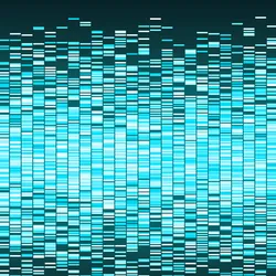 Gene p53 is mutated in about 50 percent of human cancers, yet, despite its central role in cancer biology, it has remained unclear whether specific p53 mutations could be used to guide cancer treatment strategies.