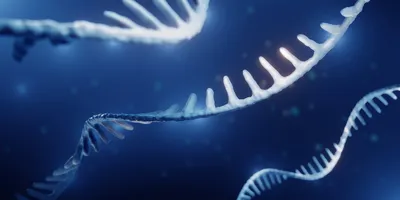The researchers uncovered three vulnerabilities in the Oxford Nanopore MinION portable sequencer and its associated software. 