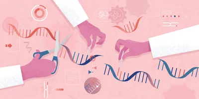 Among acute myeloid leukemia (AML) subtypes, acute promyelocytic leukemia (APL) is both clinically urgent and therapeutically promising. 