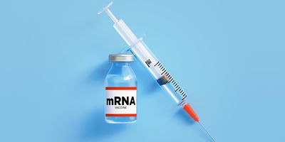 To get the mRNA safely into the patient’s body, the researchers packaged it inside lipid nanoparticles—tiny fat-based bubbles commonly used in mRNA vaccines.