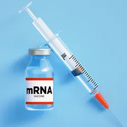 To get the mRNA safely into the patient’s body, the researchers packaged it inside lipid nanoparticles—tiny fat-based bubbles commonly used in mRNA vaccines.