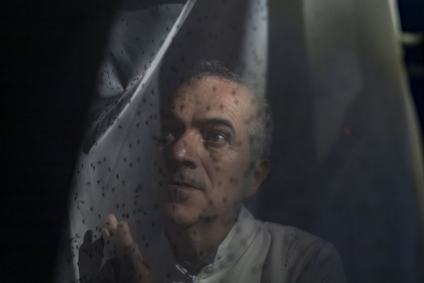 Photo of Luciano Moreira