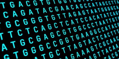 Current genetic analysis tools can estimate whether a mutation is harmful, but they cannot determine the type of disease it might cause. 