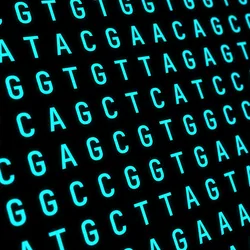 Current genetic analysis tools can estimate whether a mutation is harmful, but they cannot determine the type of disease it might cause. 