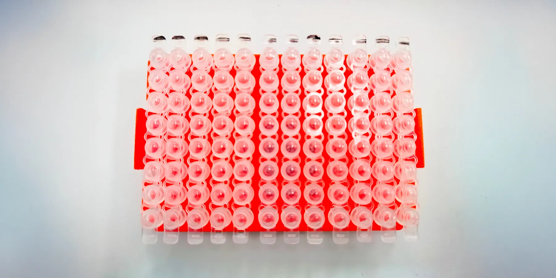 MOBILion’s strategy is to integrate its HRIM technology across the mass spectrometry ecosystem, extending beyond proteomics into metabolomics, lipidomics, exposomics, and other high-value analytical markets.