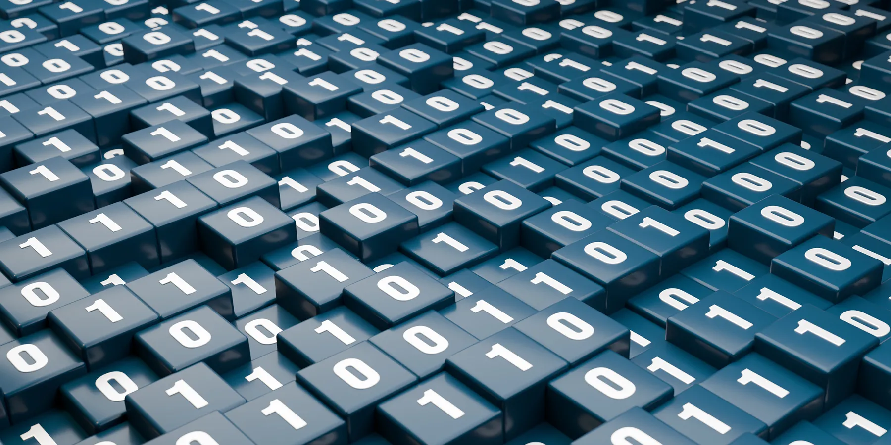 Pangenomics, a subset of bioinformatics, is the study of many different genomes from one specific species. 