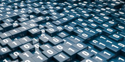 Pangenomics, a subset of bioinformatics, is the study of many different genomes from one specific species. 