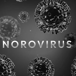 This year’s norovirus increase is smaller, but experts warn labs must prioritize early detection, surveillance, and infection control.