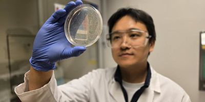 After leaving the Gerdt Lab for a post-doctoral position at the Swiss Federal Technology Institute of Lausanne, Zhiyu Zang decided to focus on the human immune system.
