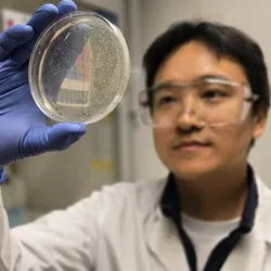 After leaving the Gerdt Lab for a post-doctoral position at the Swiss Federal Technology Institute of Lausanne, Zhiyu Zang decided to focus on the human immune system.
