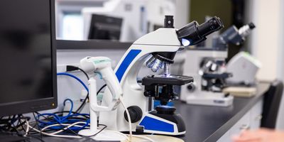 Interpretation of lymph node histology is quite complex, with significant inter-observer variability, further complicating diagnosis and blurring prognostic clarity.