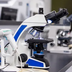 Interpretation of lymph node histology is quite complex, with significant inter-observer variability, further complicating diagnosis and blurring prognostic clarity.