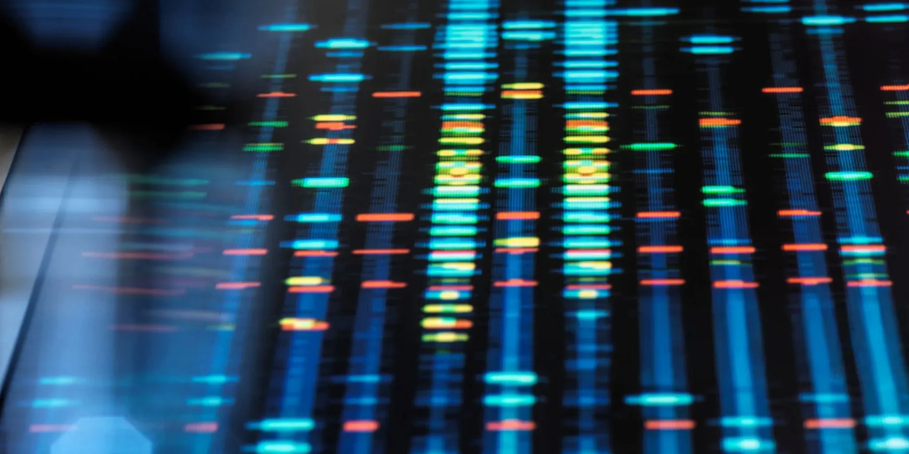 Tumors are composed of different cancer cells that vary in their aggressiveness and sensitivity to treatments, and further research is needed to understand how liquid biopsies can capture this diversity.