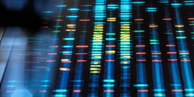 Tumors are composed of different cancer cells that vary in their aggressiveness and sensitivity to treatments, and further research is needed to understand how liquid biopsies can capture this diversity.