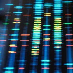 Tumors are composed of different cancer cells that vary in their aggressiveness and sensitivity to treatments, and further research is needed to understand how liquid biopsies can capture this diversity.