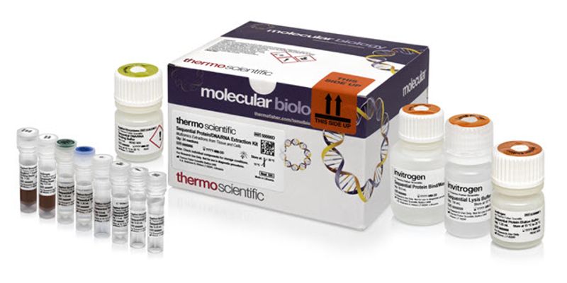 Thermo Fisher Launches All-in-One Kit for Sequential DNA, RNA and ...