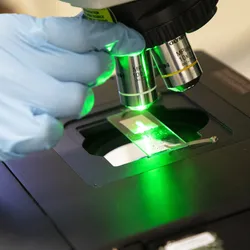 The Lednev lab uses a laser technique called Raman spectroscopy to analyze the chemical composition of materials.