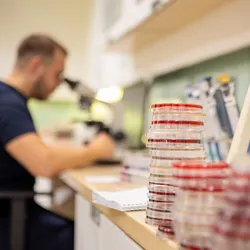 The researchers suggest that a lack of standardized sampling procedures, sample processing, and different analysis workflows used by testing companies may contribute to these discrepancies.