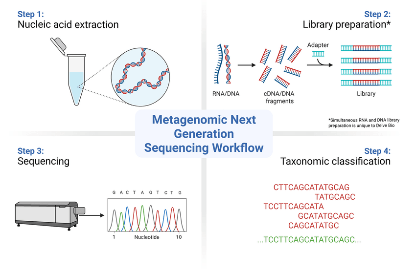 Figure 1. Step-wise workflow of a typical mNGS assay, from nucleic acid extraction to microbial identification.