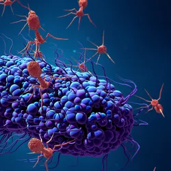 University of Exeter scientists studied chemical communication by phages (viruses that infect bacteria).