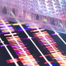Image of a PCR plate on top of next-generation sequencing results for bacterial identification in the clinical laboratory.