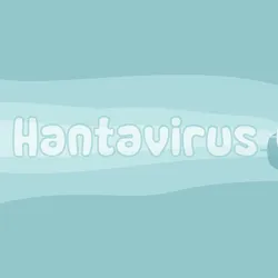 Illustration of a cruise ship with the word 'Hantavirus' in the background.