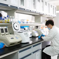 Scientist working at the clinical lab bench using technology in a clinical setting.