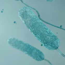 Bacteria that causes Legionnaire's disease related to community-acquired pneumonia diagnosis.